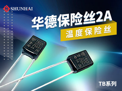 2A温度保险丝